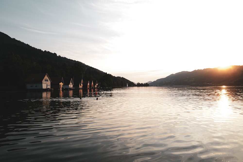 brown wooden dock on lake during daytime