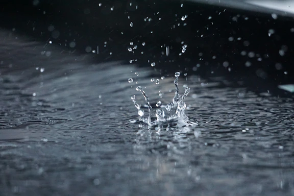 water droplets on body of water