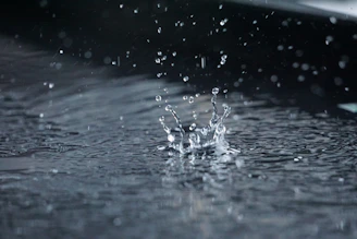 water droplets on body of water