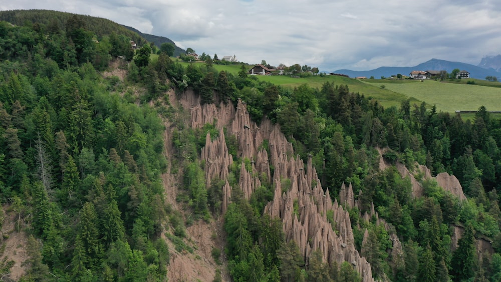 alberi verdi sulla montagna rocciosa marrone sotto nuvole bianche e cielo blu durante il giorno