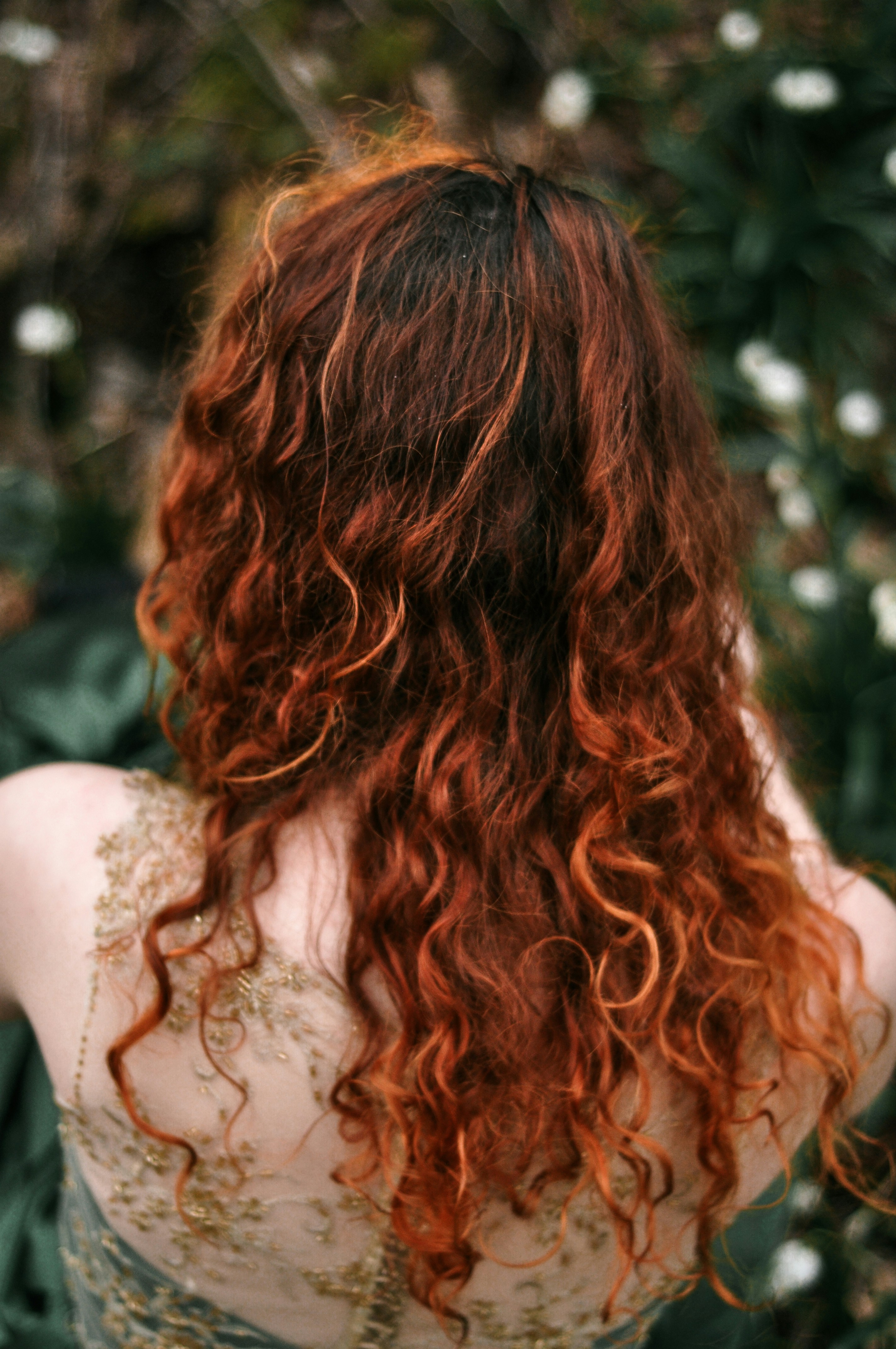 Auburn curly hair color
