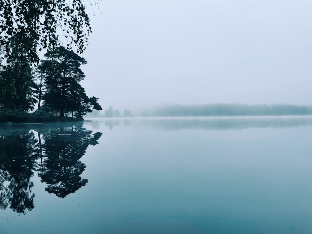 body of water near trees during foggy weather