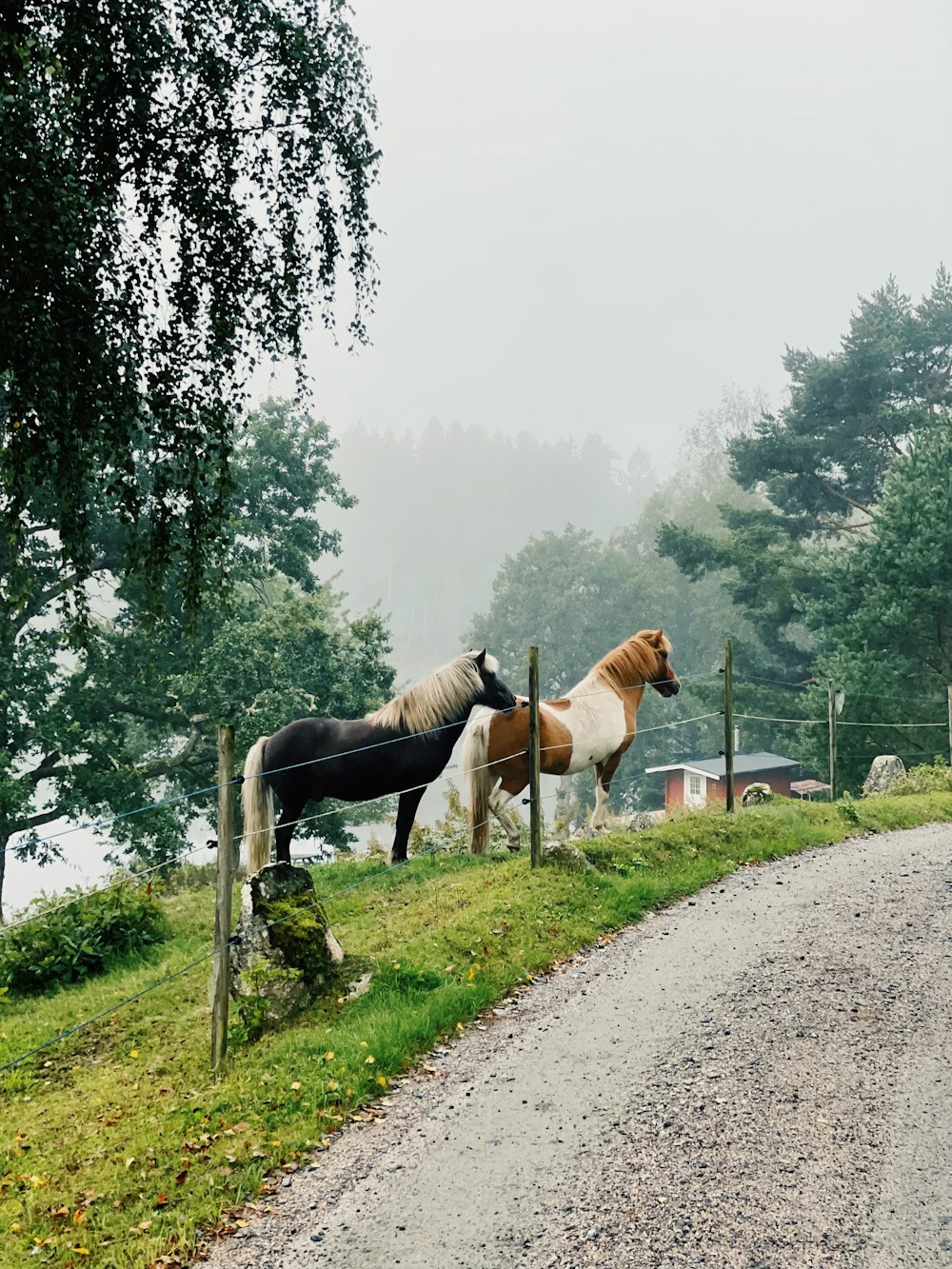 cavalo marrom e branco na estrada de terra durante o dia