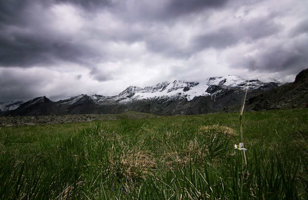 green grass field near snow covered mountain under white cloudy sky during daytime