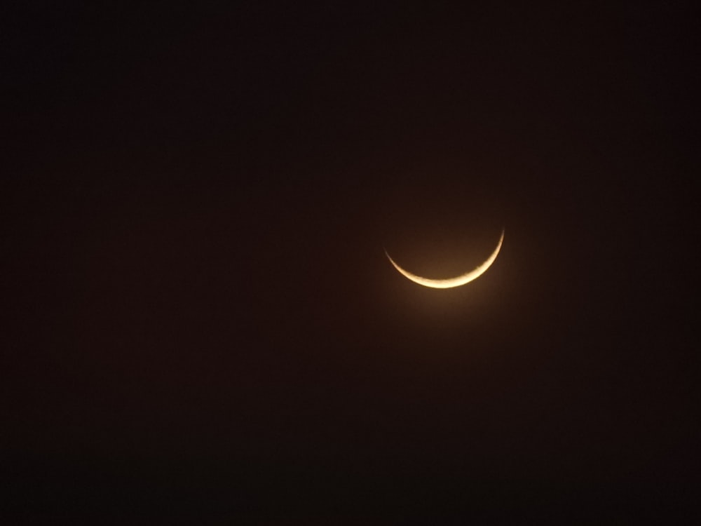 luna blanca en la noche oscura