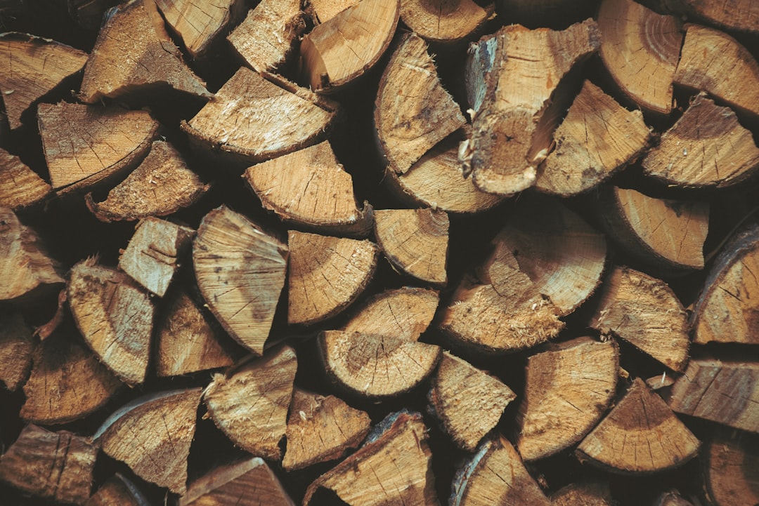 brown and black wood logs