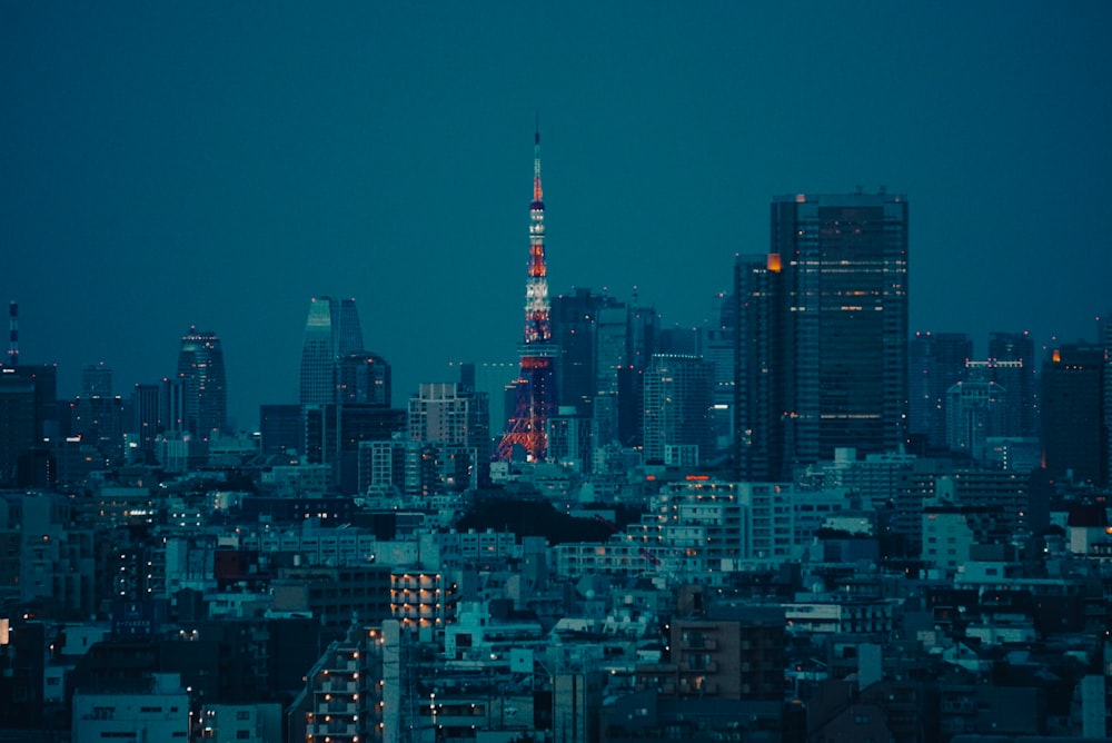 city skyline during night time