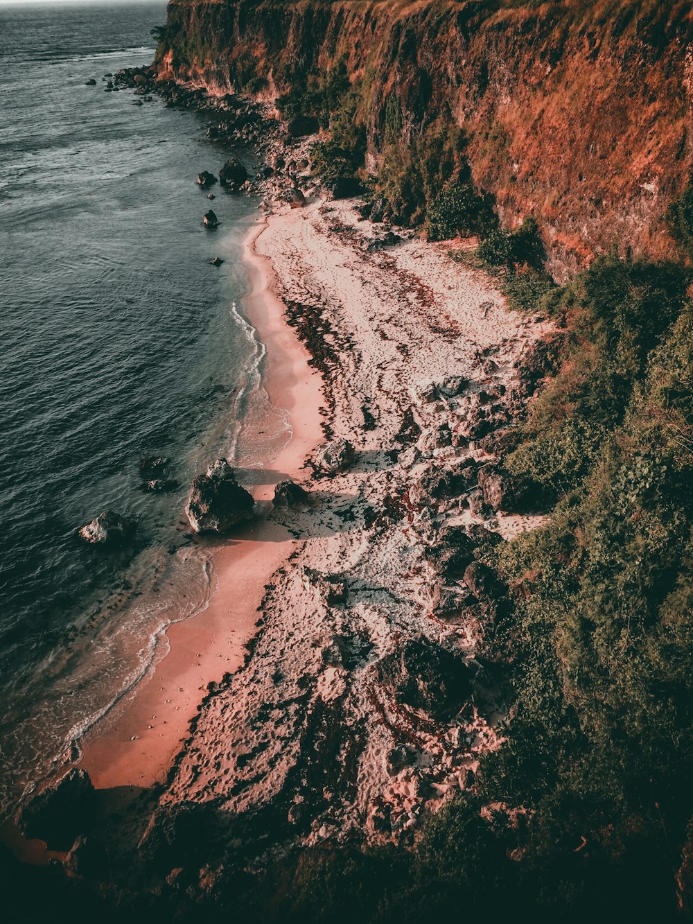 aerial view of beach during daytime