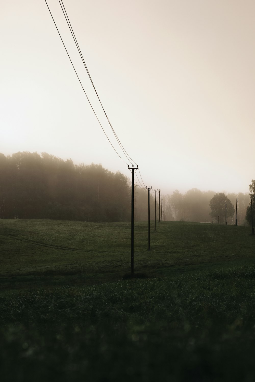 green grass field during daytime