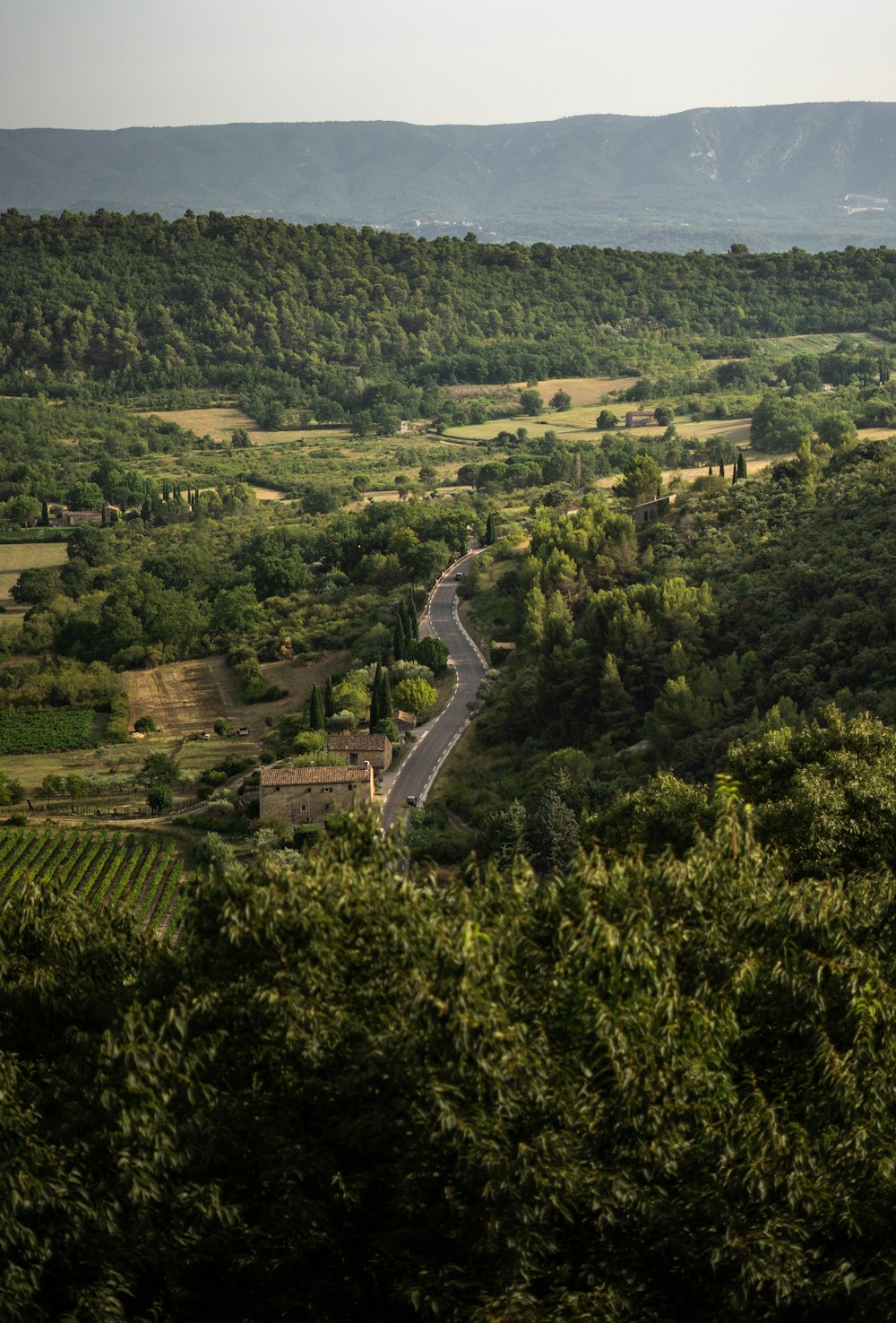 aerial view of green trees and green mountains during daytime