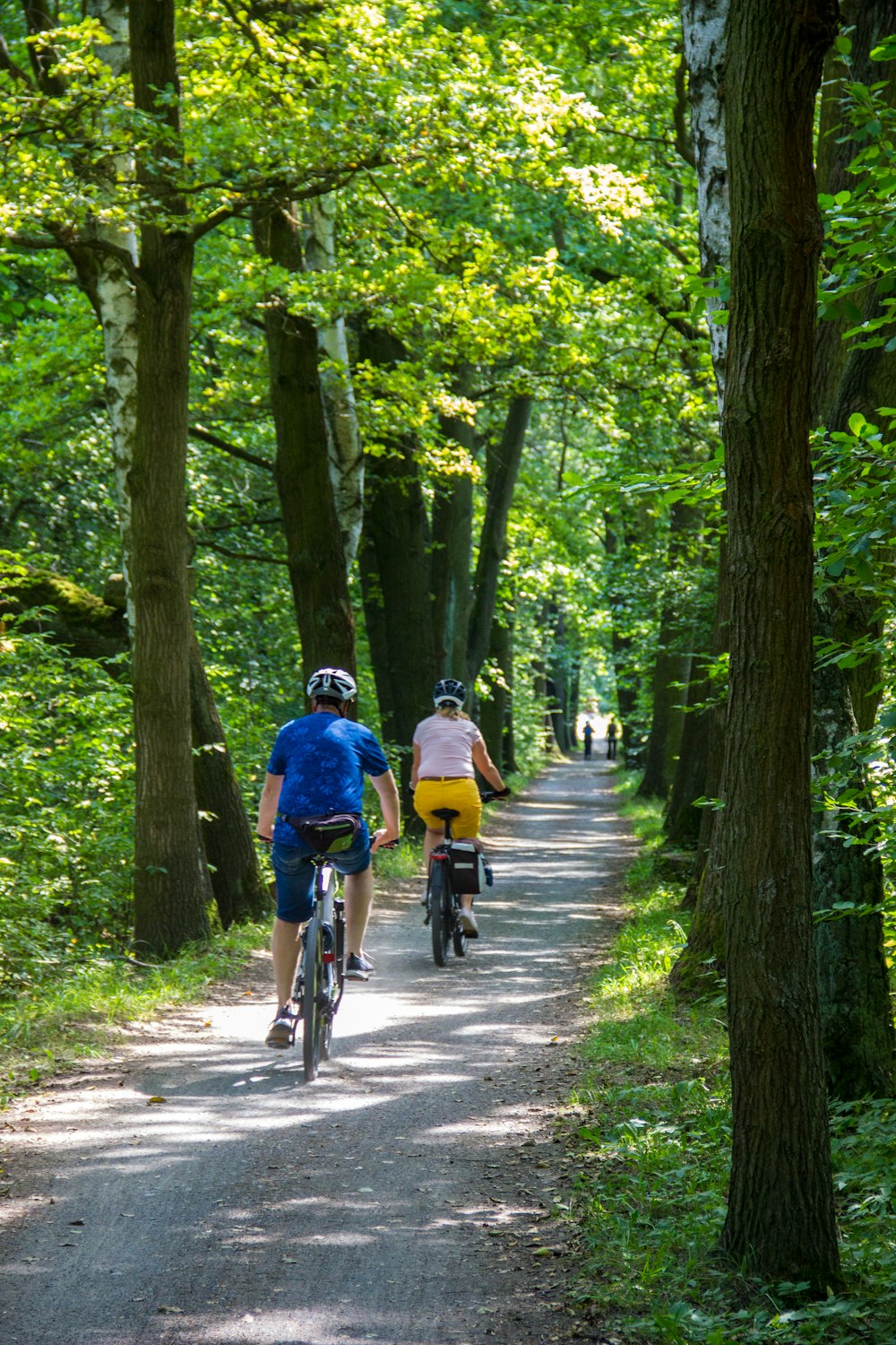 Personas que andan en bicicleta en la carretera entre árboles verdes durante el día