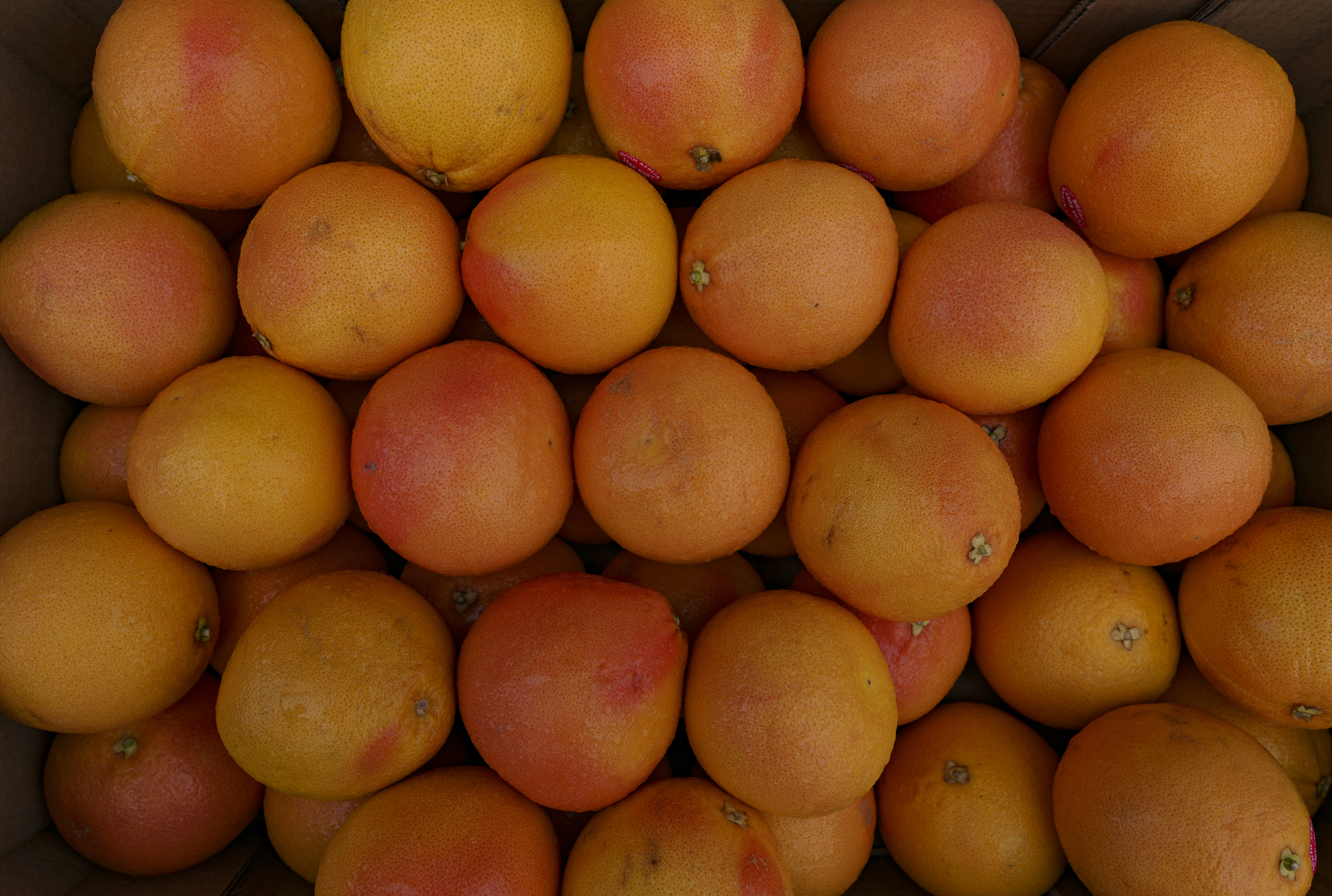 Photo by photobangalore