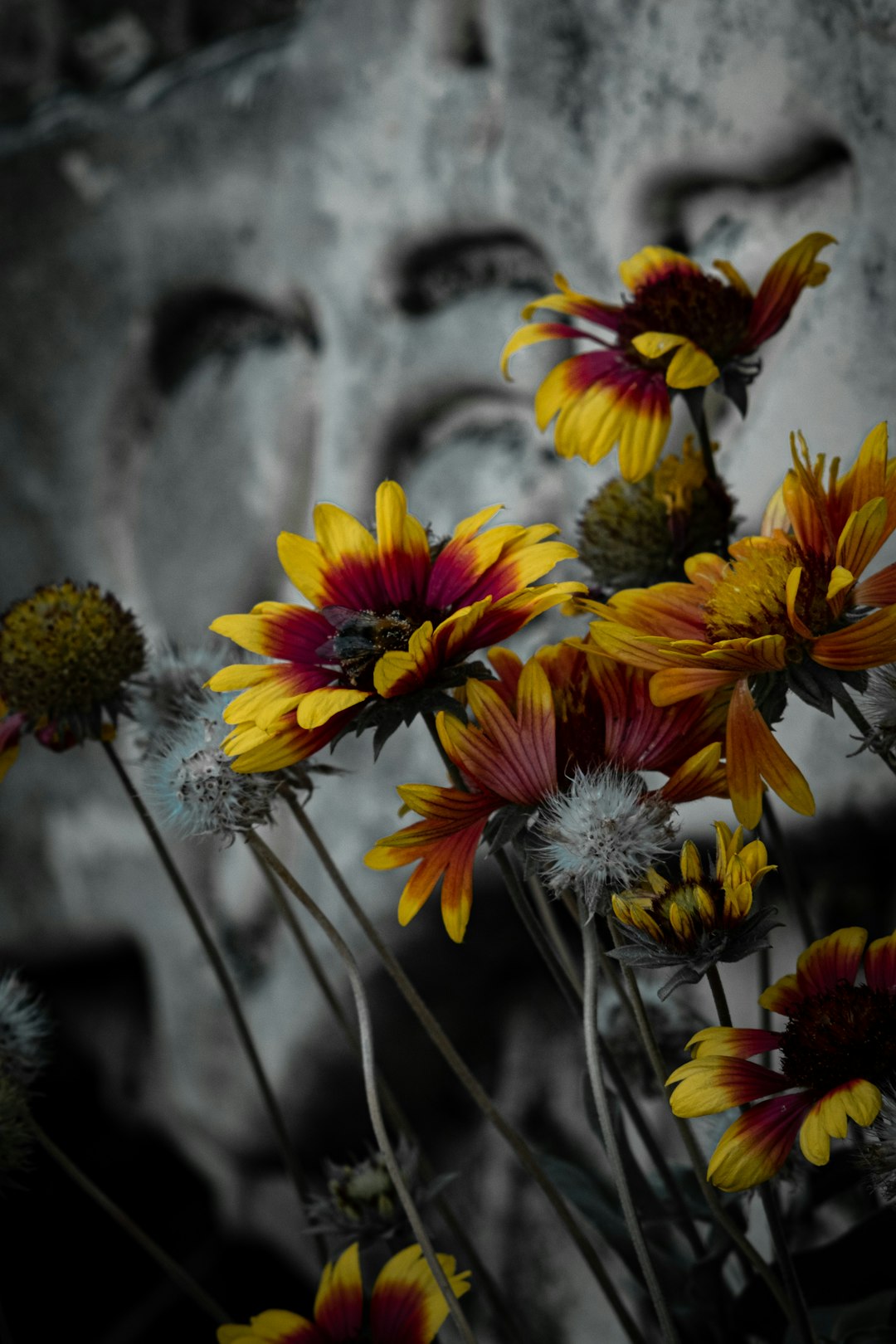 yellow and red flowers in tilt shift lens