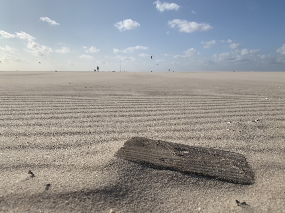 people walking on brown sand under blue sky during daytime