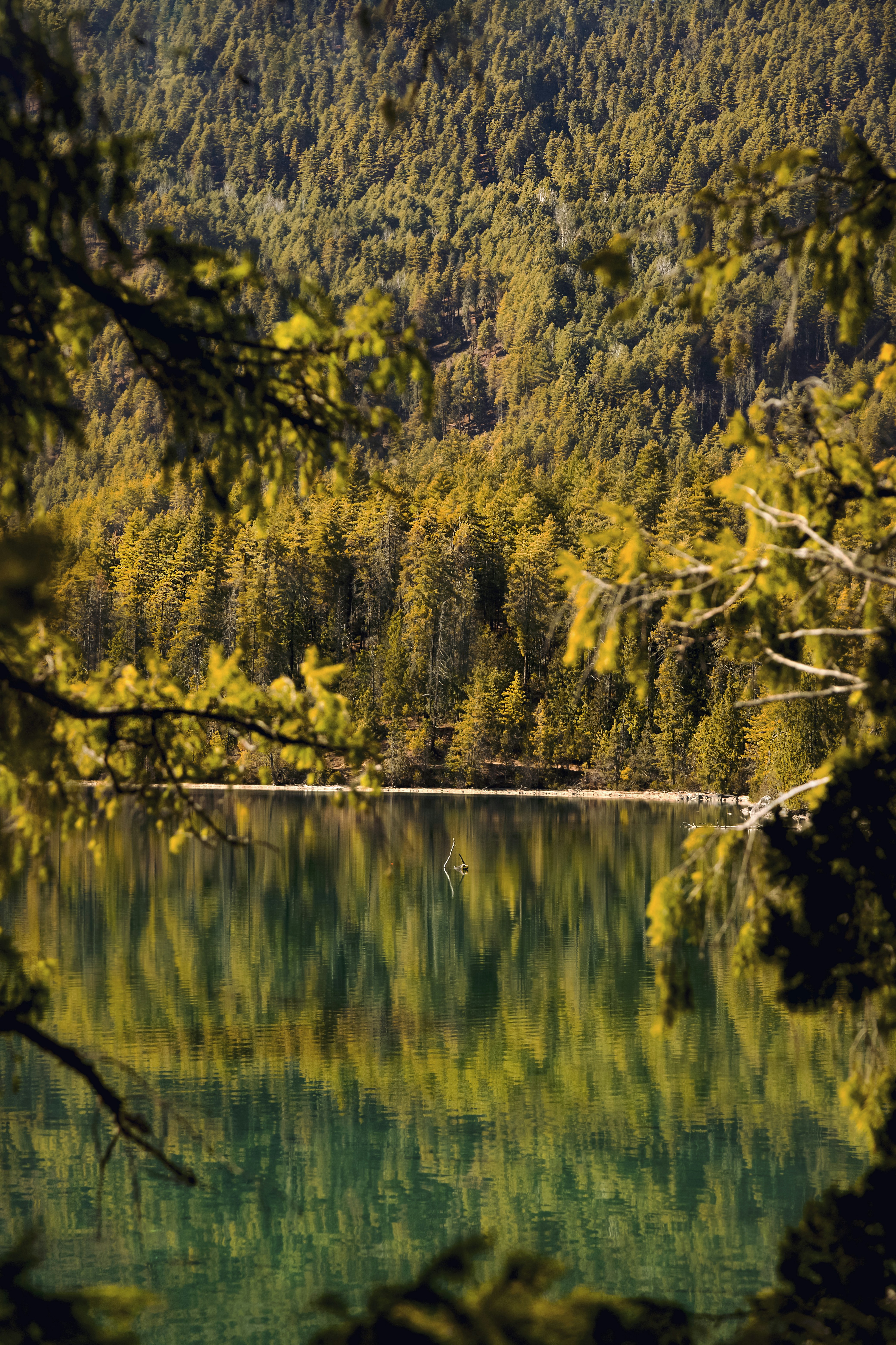 Photo by ashokjkshetri