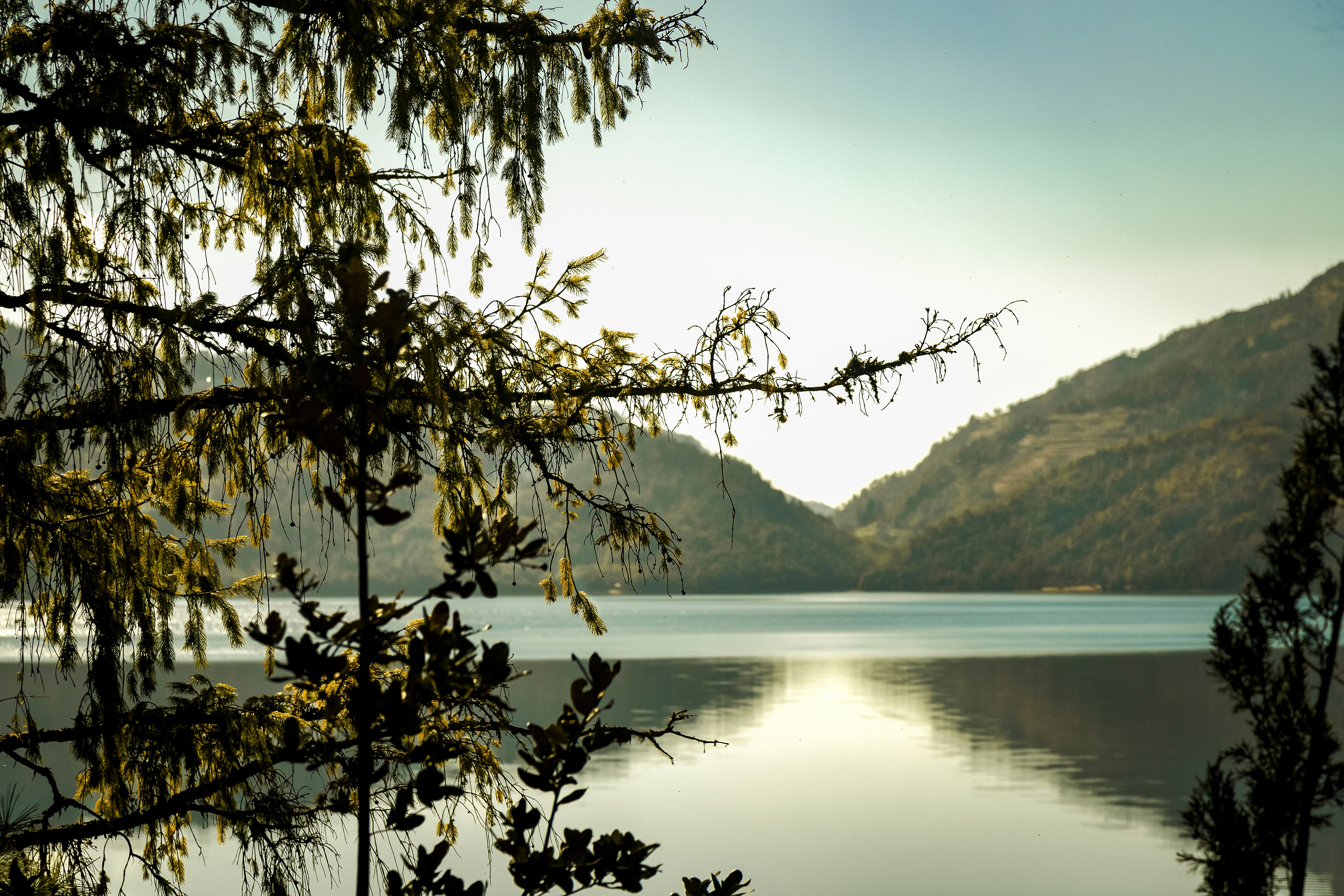 Photo by ashokjkshetri