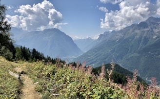A scenic mountain landscape with a dirt trail winding through lush greenery and wildflowers. Tall, rugged mountains rise in the background beneath a partly cloudy sky.