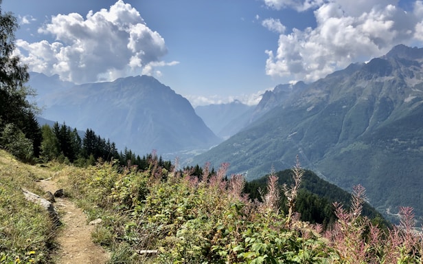 A scenic mountain landscape with a dirt trail winding through lush greenery and wildflowers. Tall, rugged mountains rise in the background beneath a partly cloudy sky.