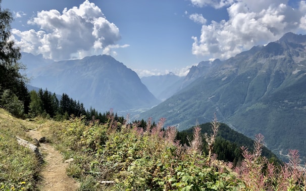 A scenic mountain landscape with a dirt trail winding through lush greenery and wildflowers. Tall, rugged mountains rise in the background beneath a partly cloudy sky.