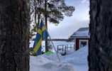 A snow-covered landscape with a Swedish flag fluttering between two trees. In the background, there's a red wooden cabin with a snowy roof, surrounded by a wintry forest. The scene creates a serene winter setting.