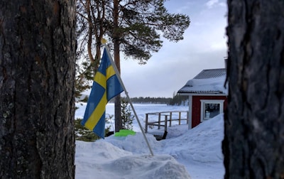 A snow-covered landscape with a Swedish flag fluttering between two trees. In the background, there's a red wooden cabin with a snowy roof, surrounded by a wintry forest. The scene creates a serene winter setting.