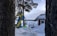 A snow-covered landscape with a Swedish flag fluttering between two trees. In the background, there's a red wooden cabin with a snowy roof, surrounded by a wintry forest. The scene creates a serene winter setting.