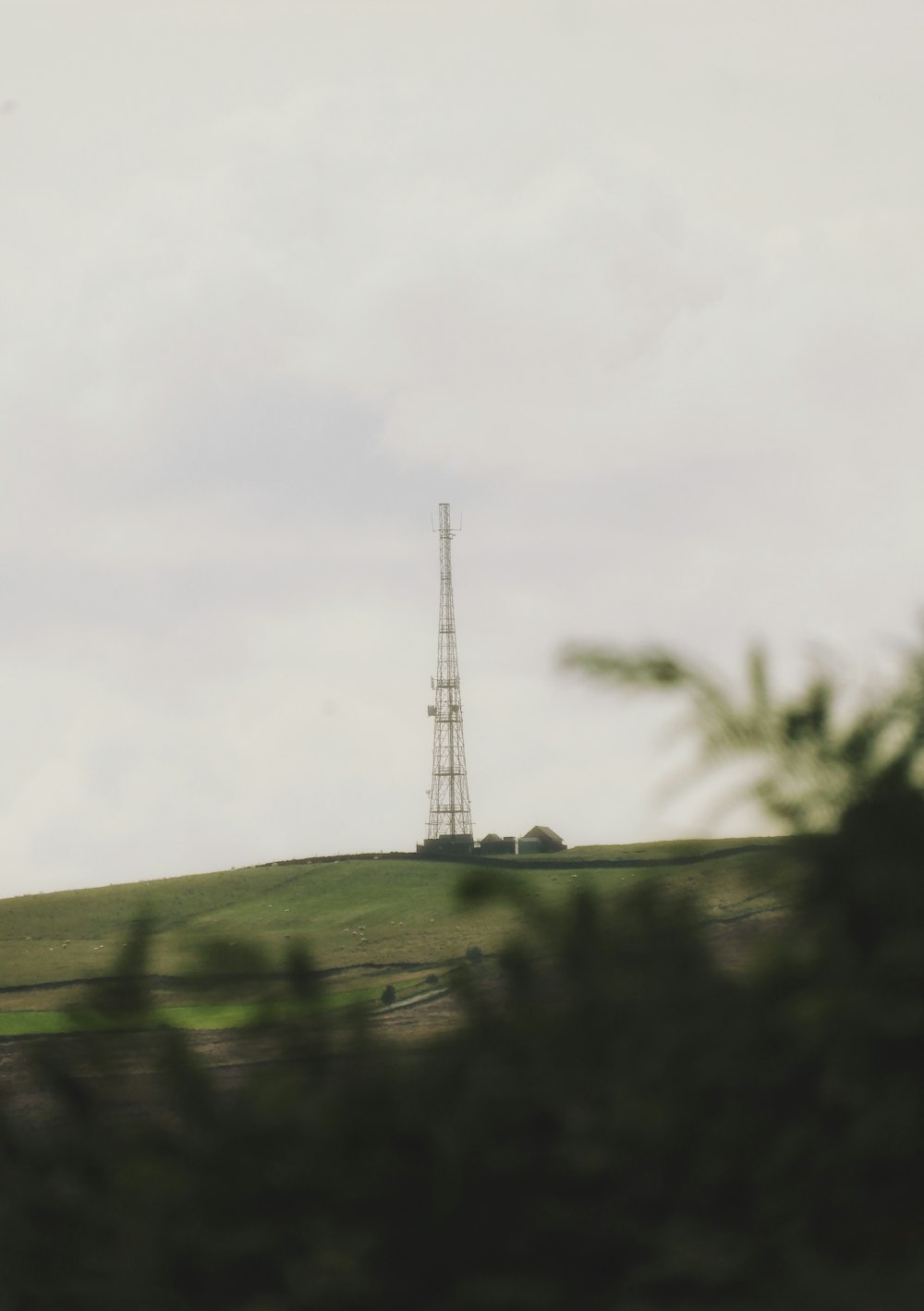 campo de grama verde com moinho de vento à distância