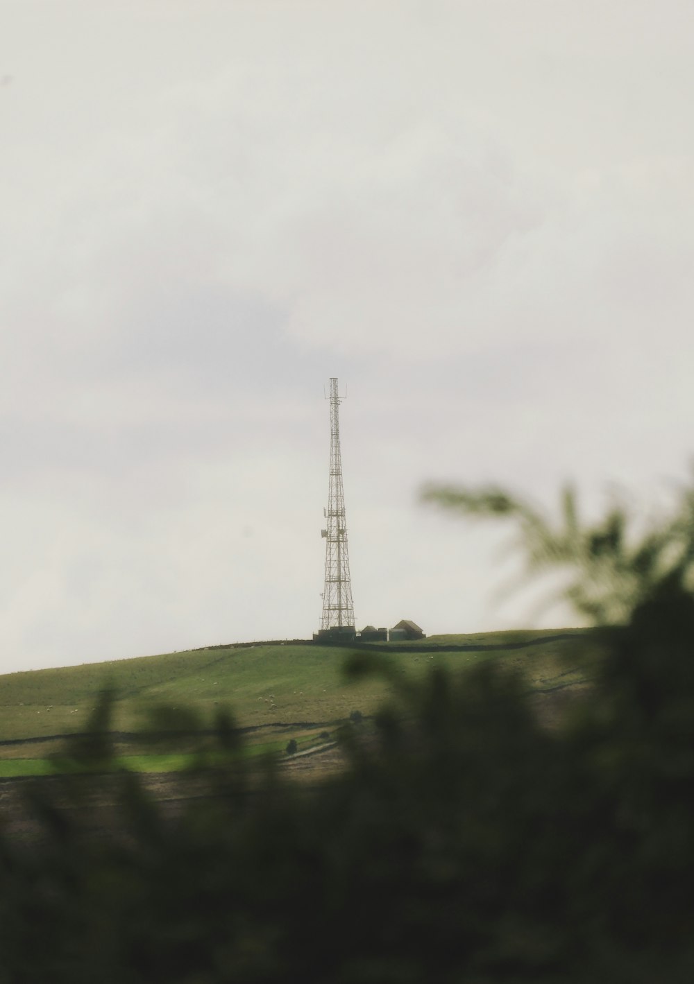 green grass field with windmill in the distance