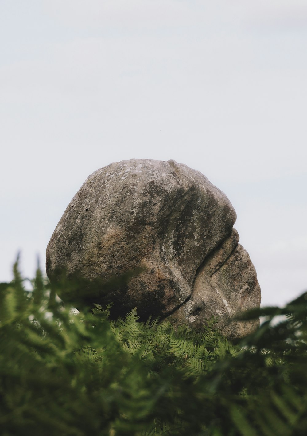 gray rock on green grass field during daytime