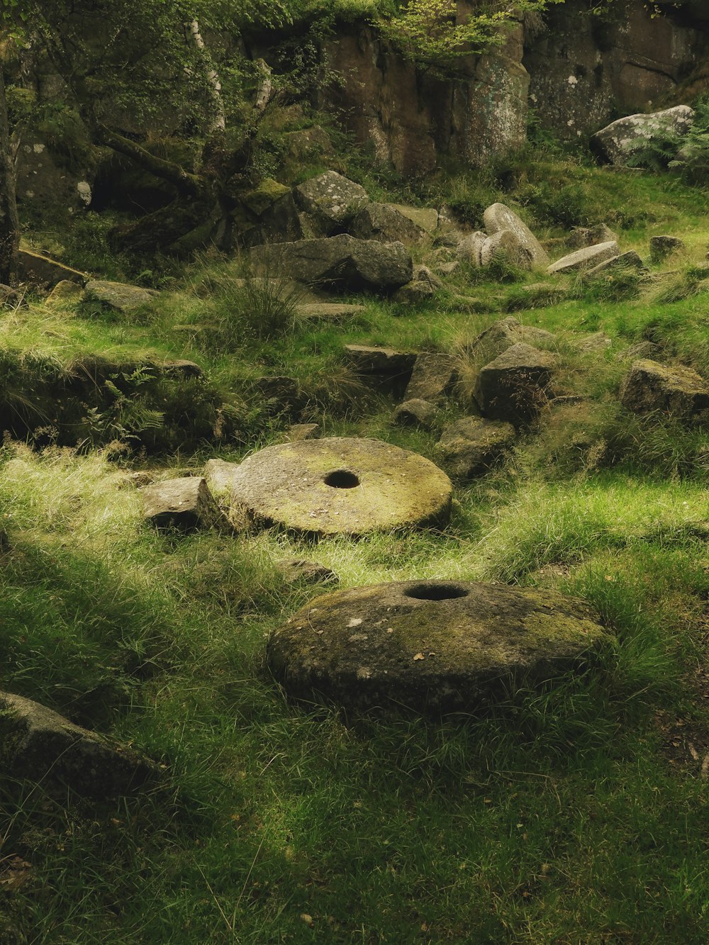 Piedra marrón sobre hierba verde