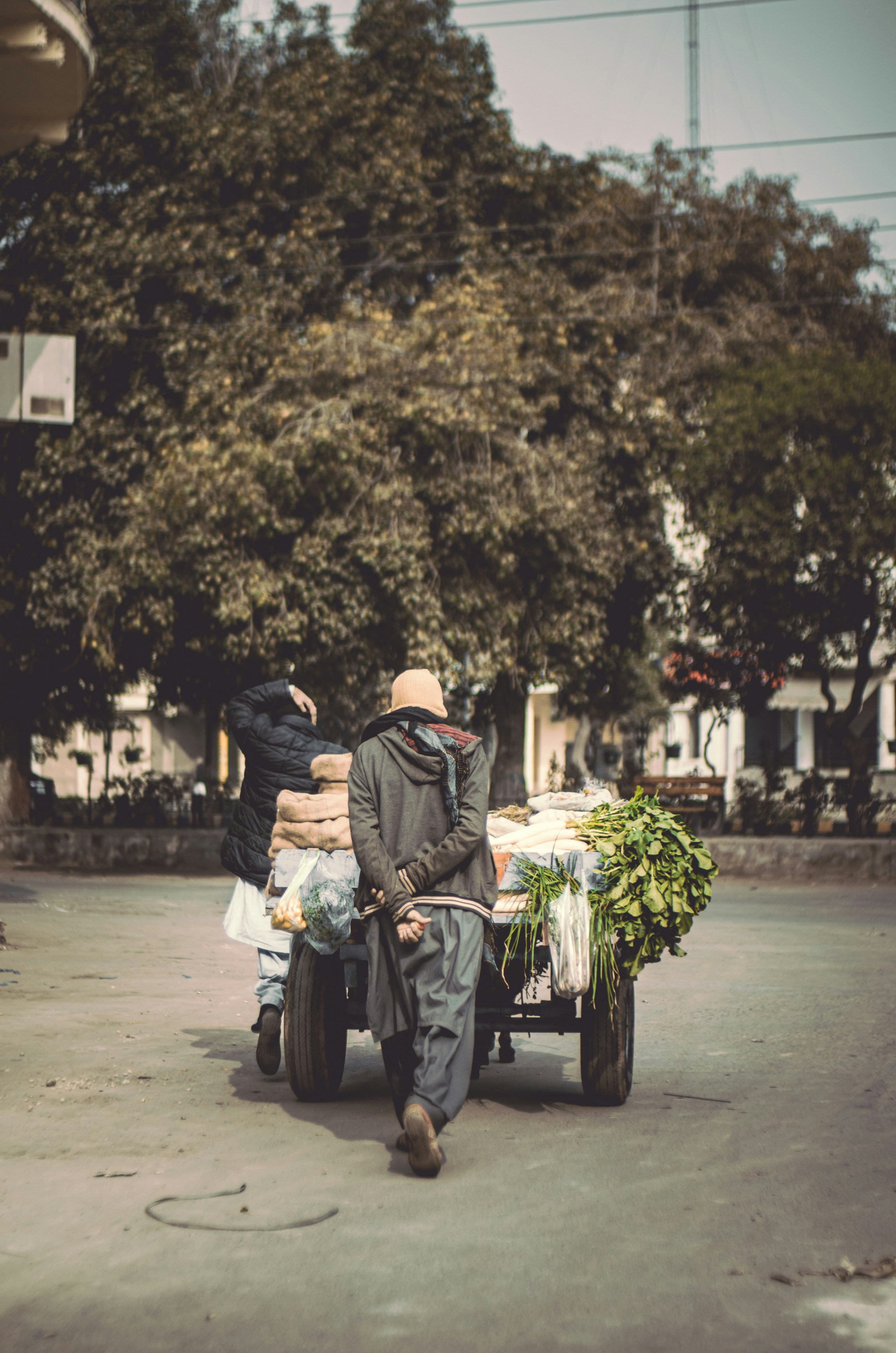 Photo by szpremium