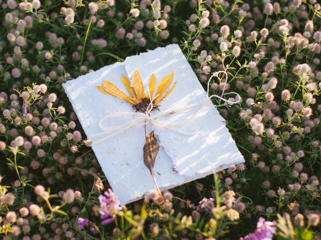 brown and black moth on white paper