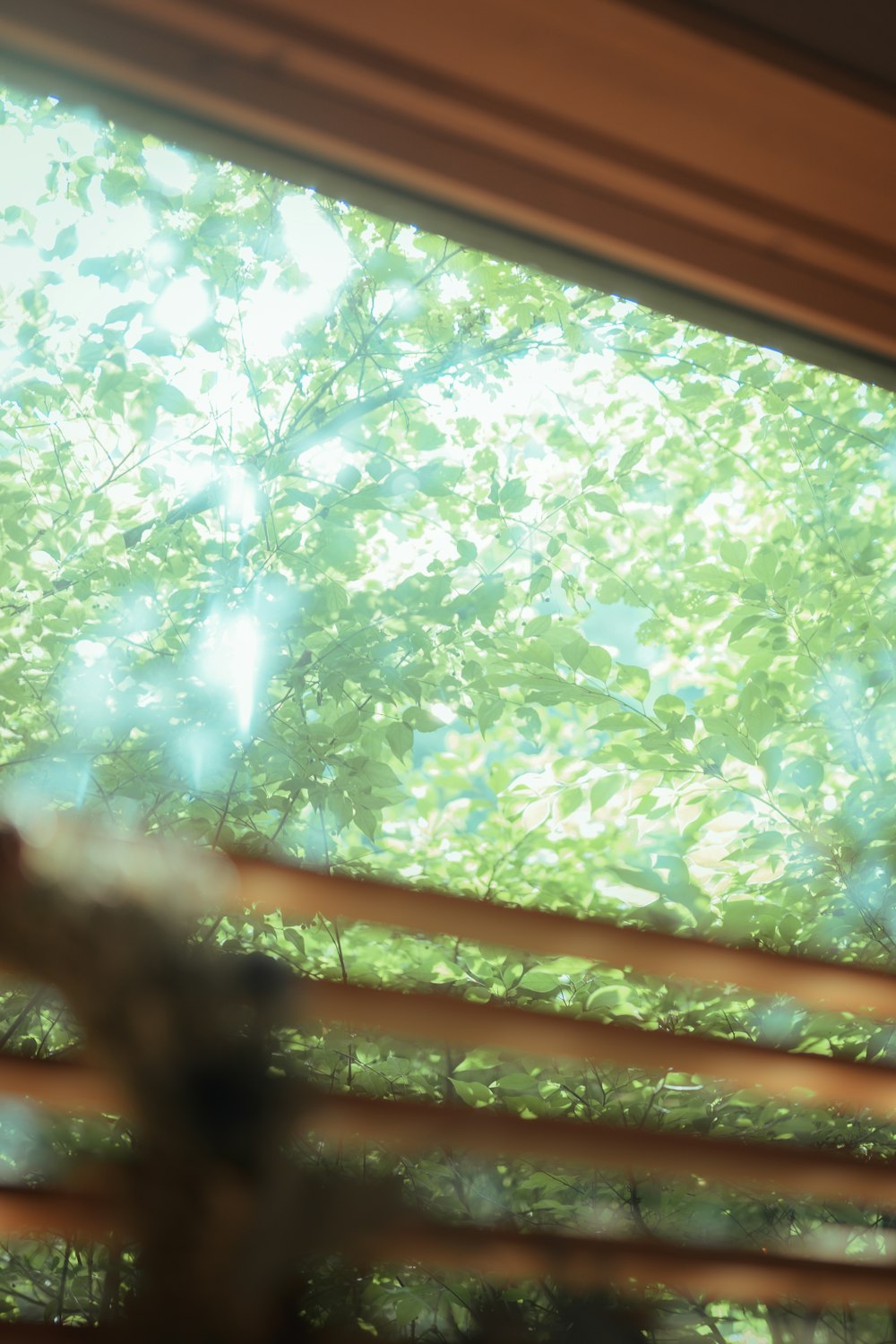 arbre à feuilles vertes pendant la journée