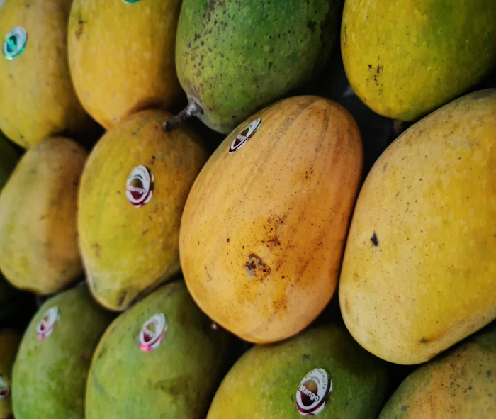 Crate of golden Chaunsa mangoes