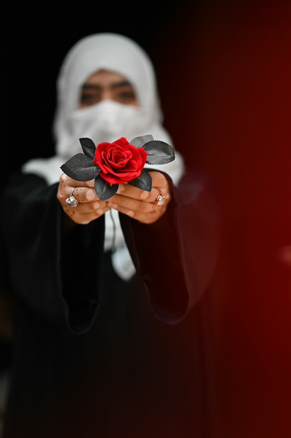 person holding red rose in front of woman in black hijab