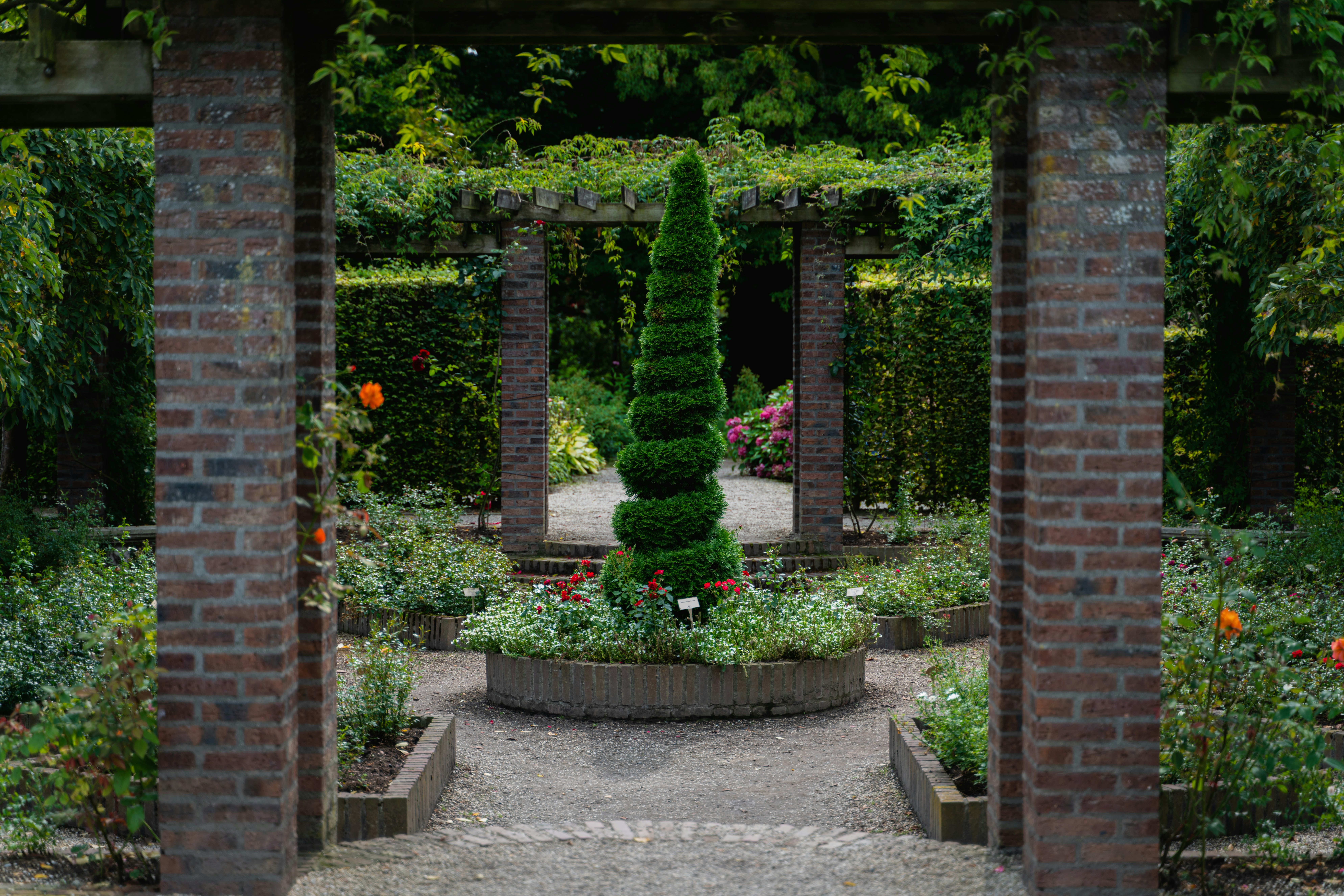 A lush vertical garden on a brick wall featuring ferns and climbing ivy - small courtyard ideas on a budget