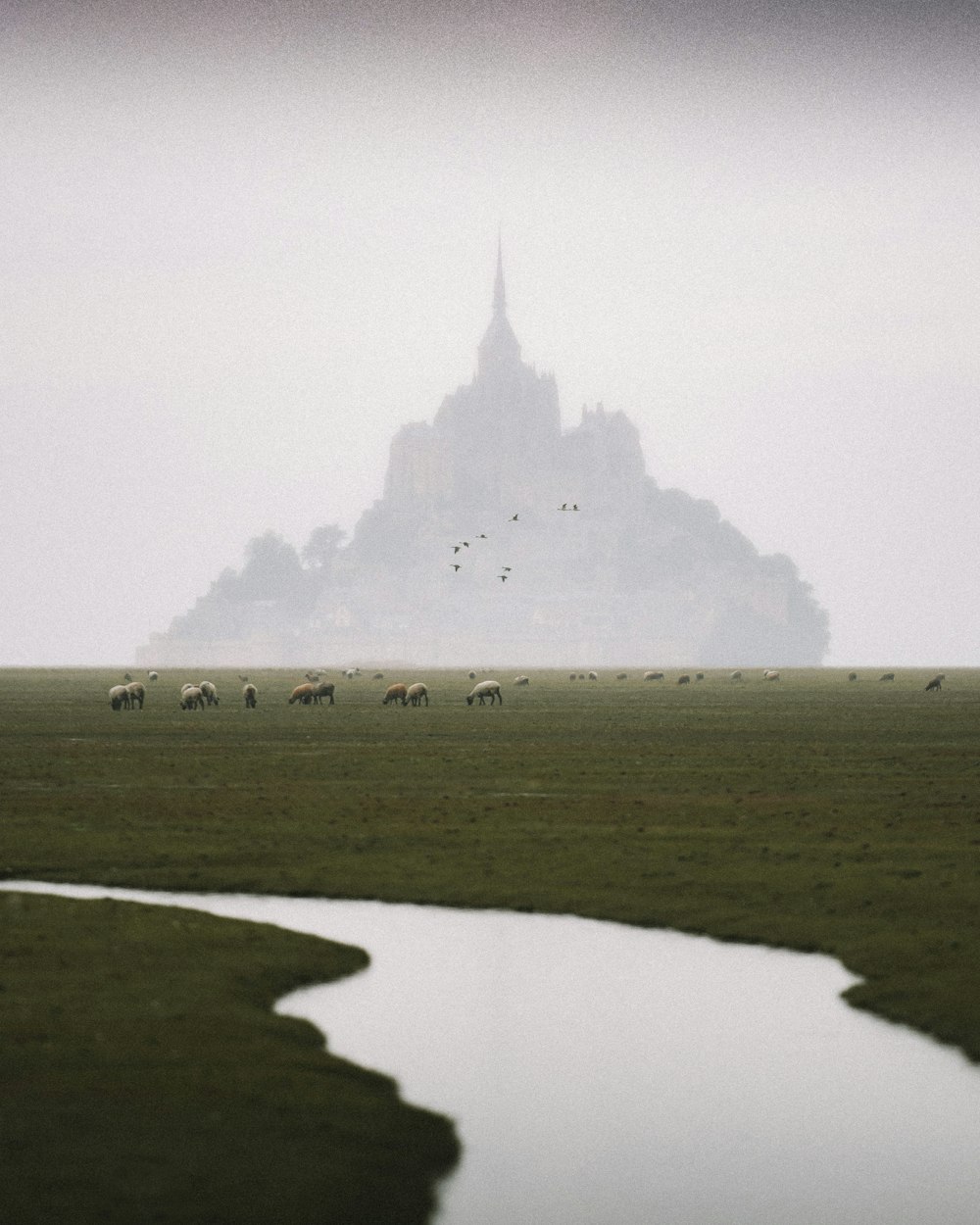 people walking on gray sand during daytime