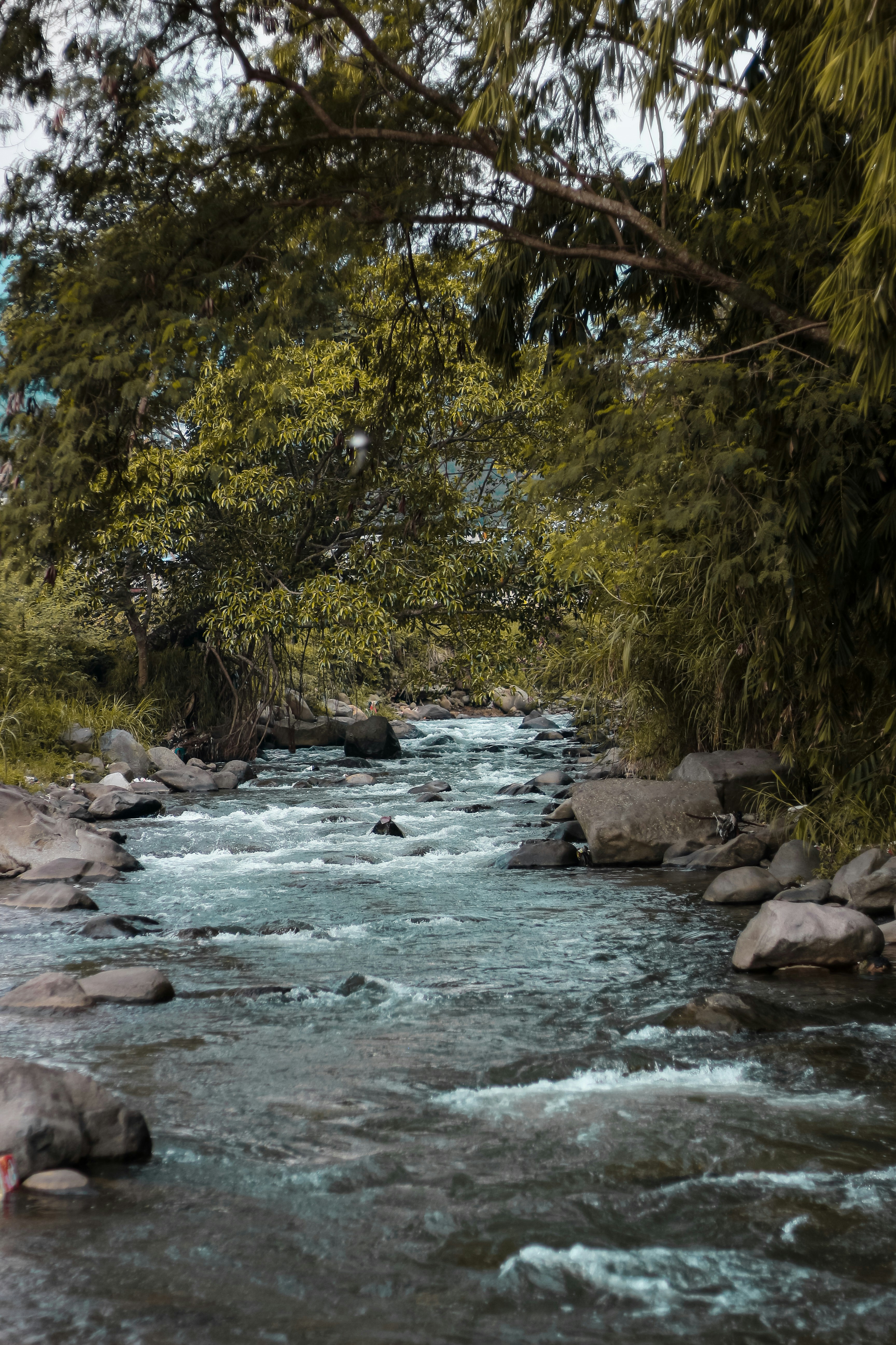 Photo by ardyansnd