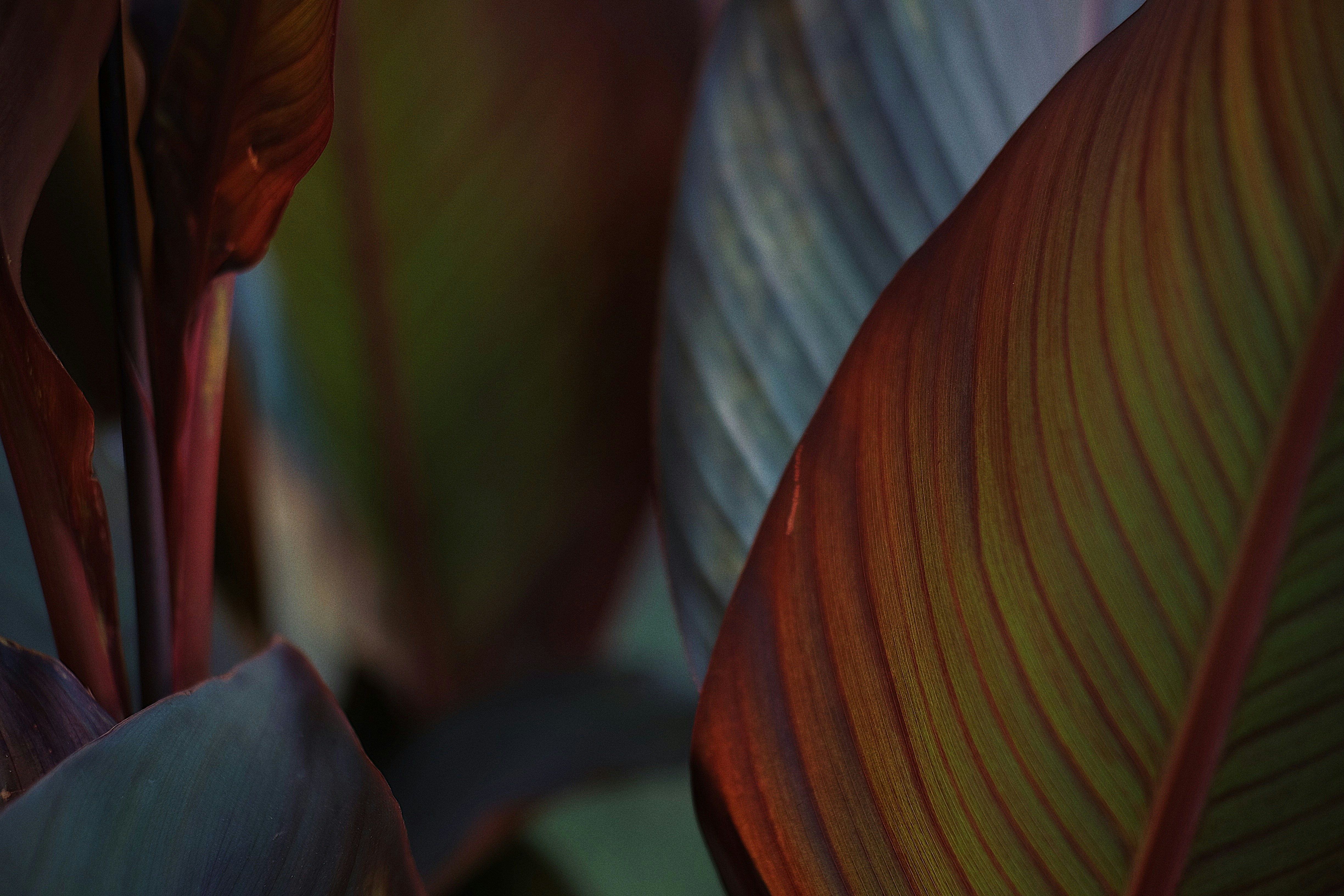 Photo by anastasiaperen