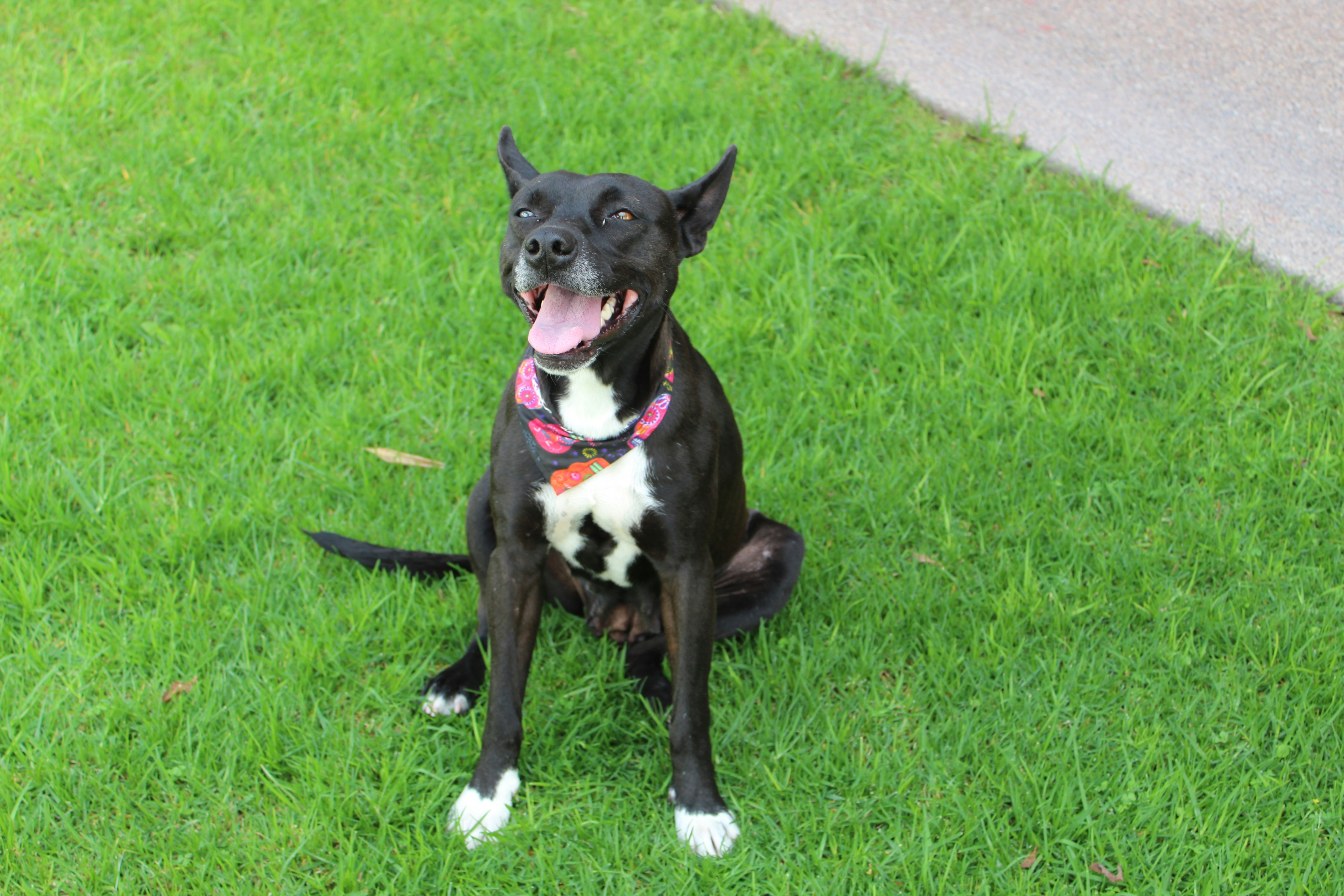 Photo by marianaglezc