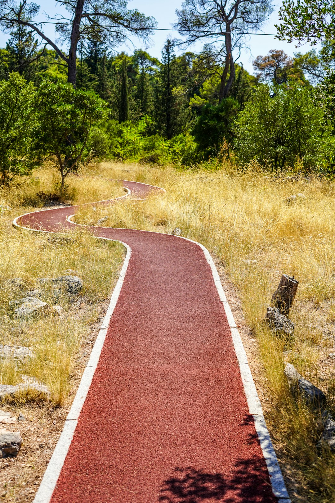 brown dirt road between green grass field during daytime