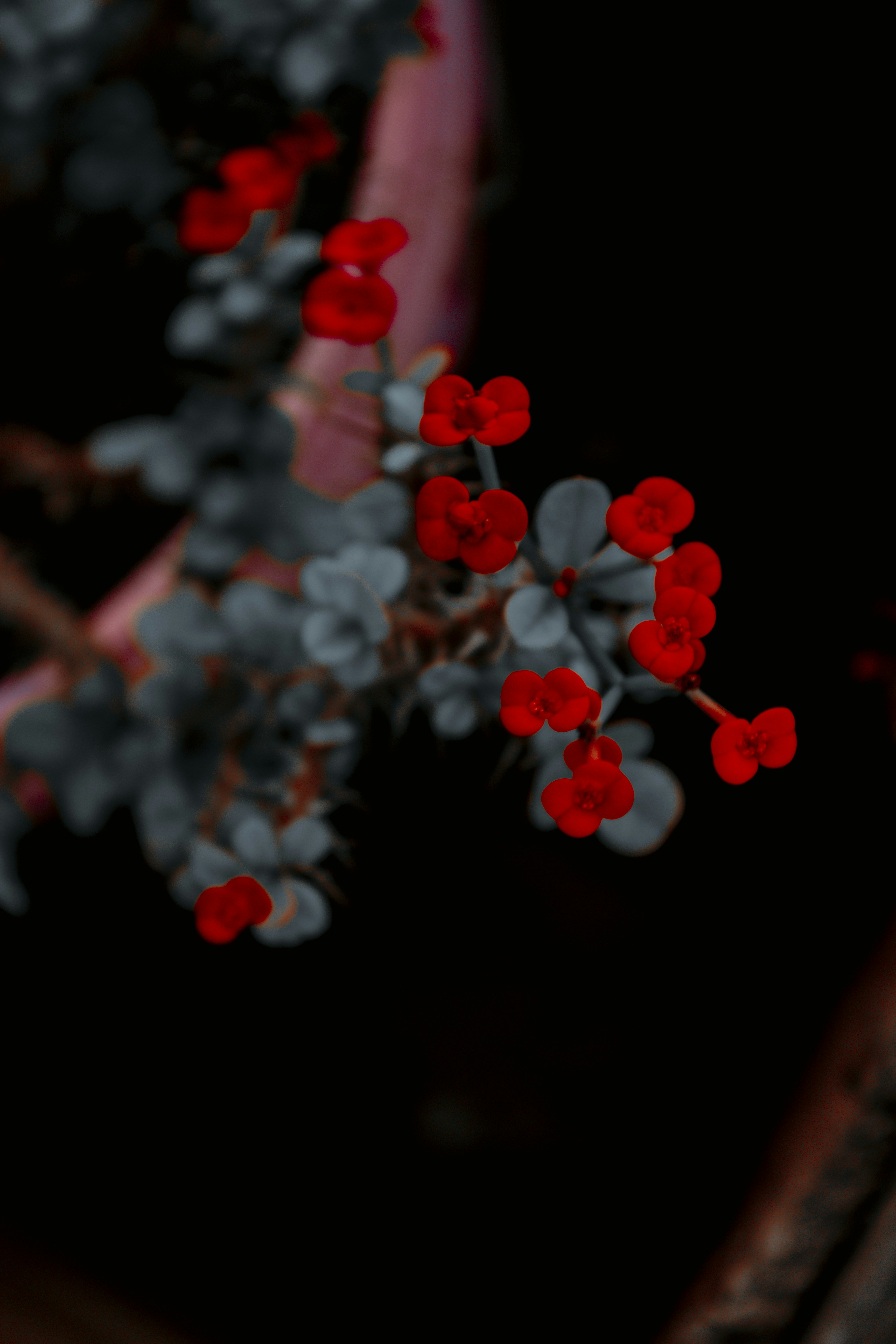 Photo by abrahampaul_