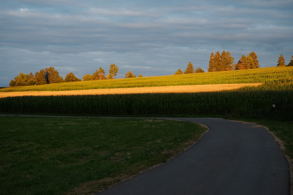 green grass field near road under blue sky during daytime