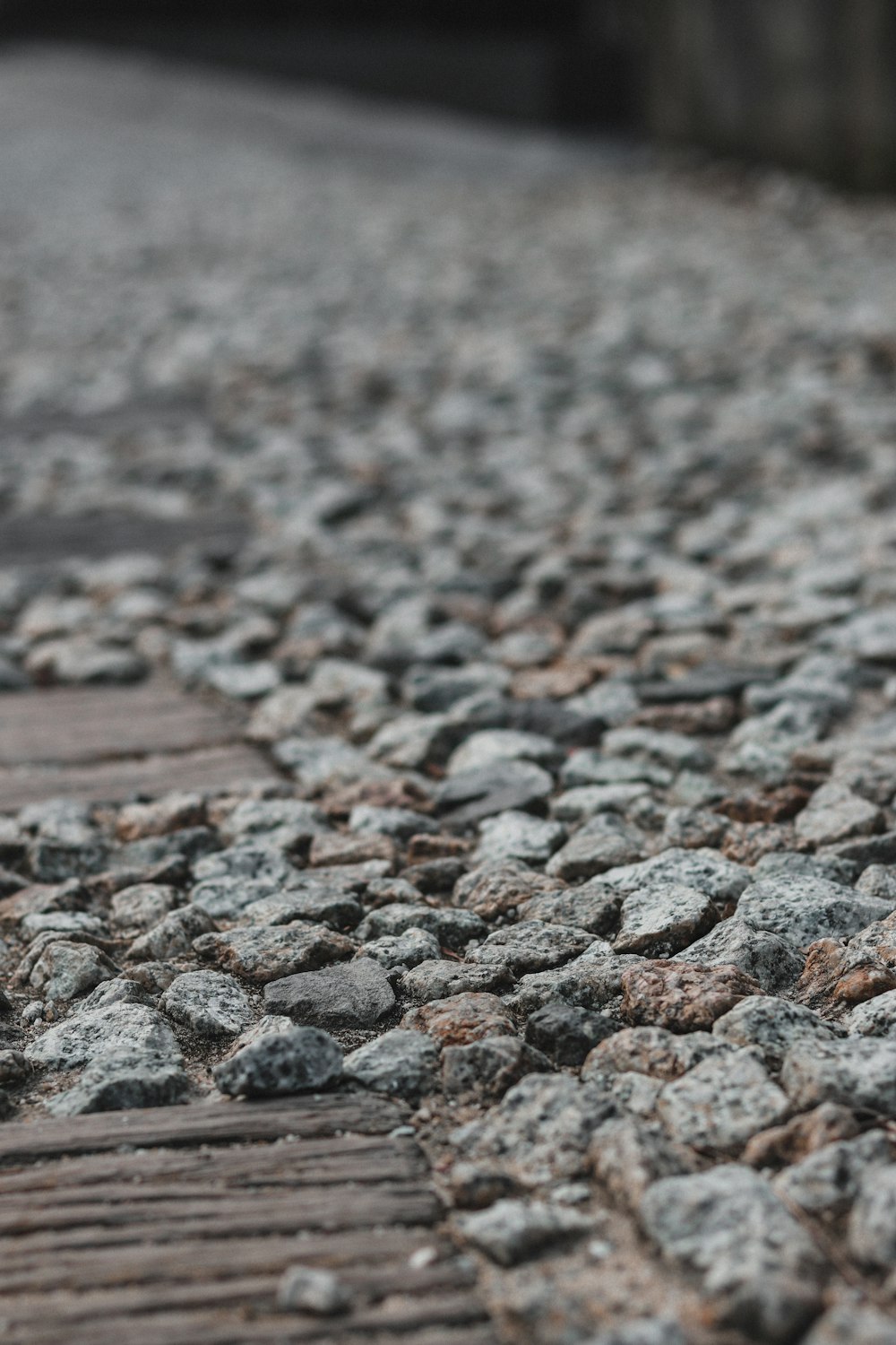 gray and brown stones on brown soil