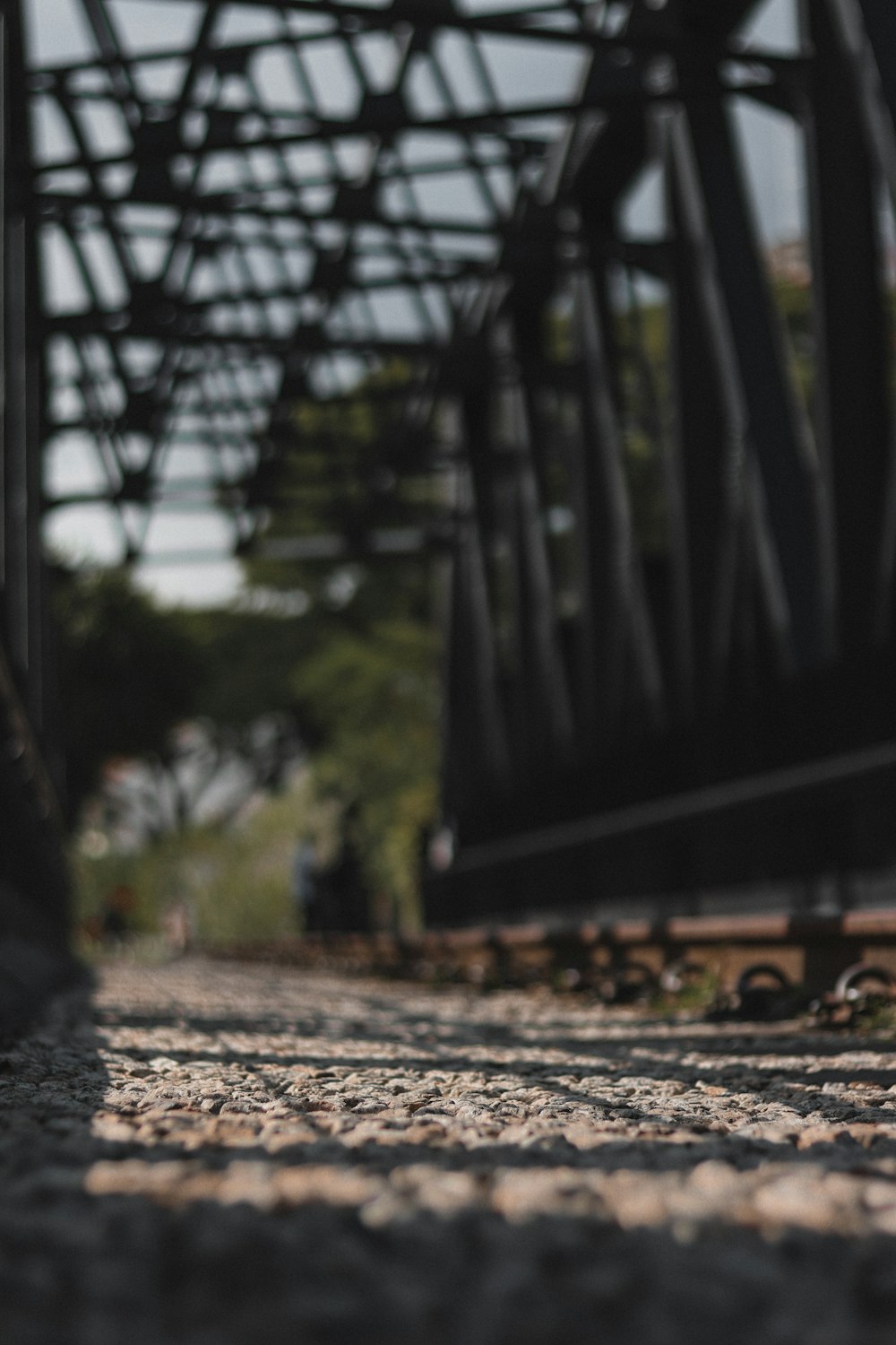 trem ferroviário na floresta