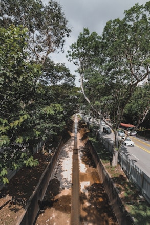 A narrow canal runs through a lush area, bordered by tall, leafy trees that create a canopy overhead. To the right of the canal, a road is visible with cars traveling in both directions. The area has a serene and natural ambiance, with the trees casting shadows on the canal.