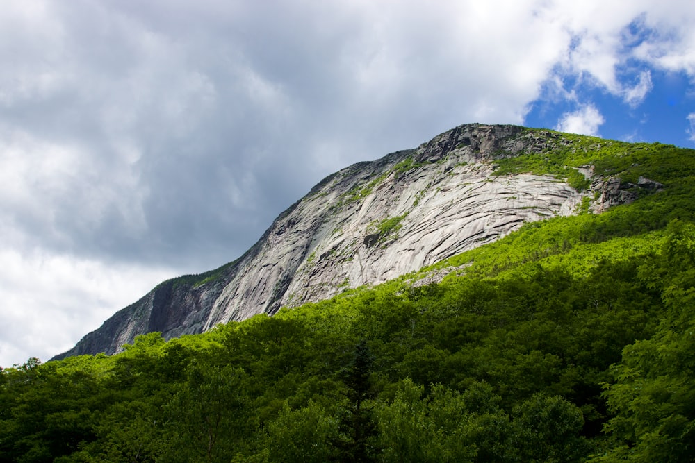 green trees on mountain under cloudy sky during daytime