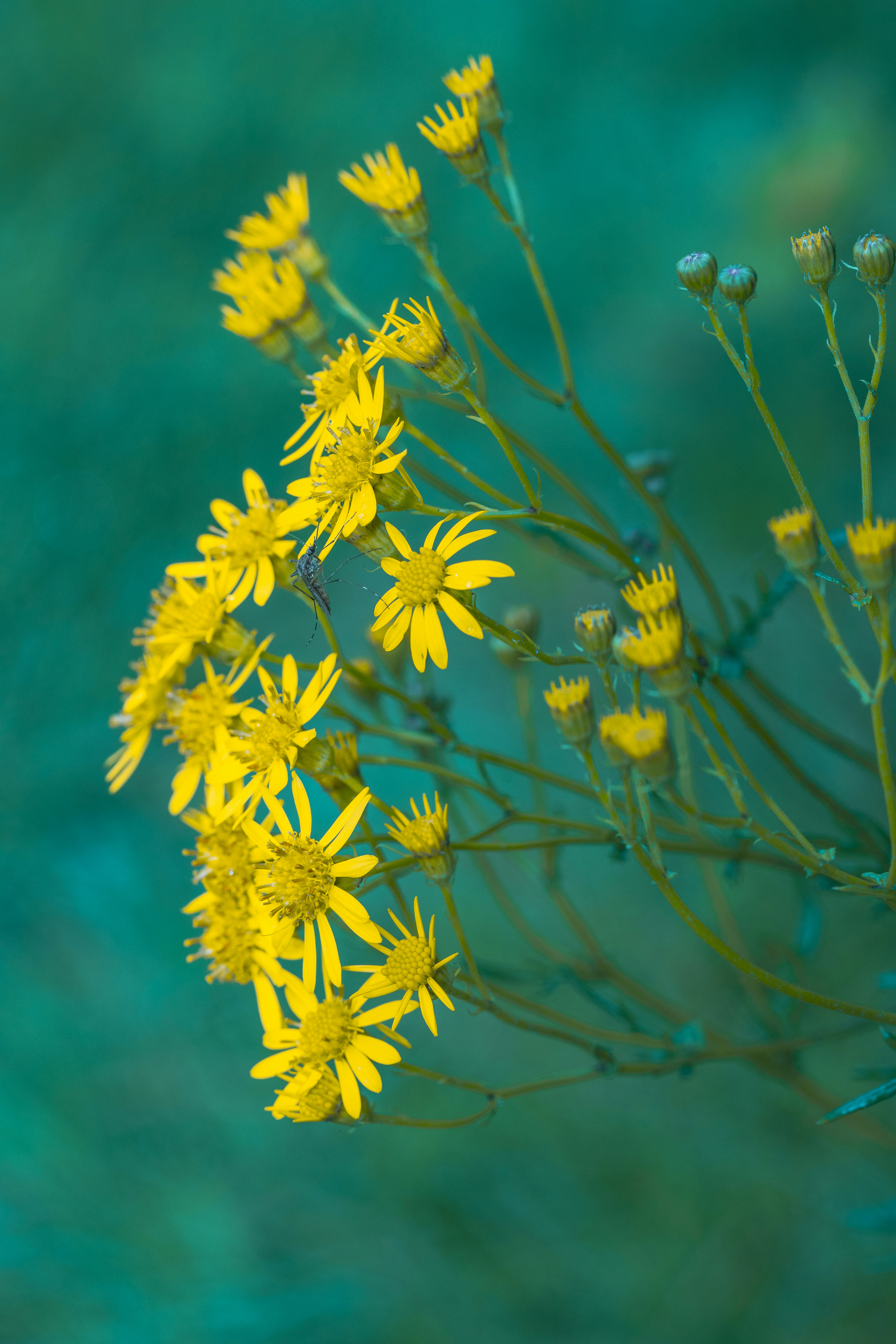 Photo by grievek1610begur