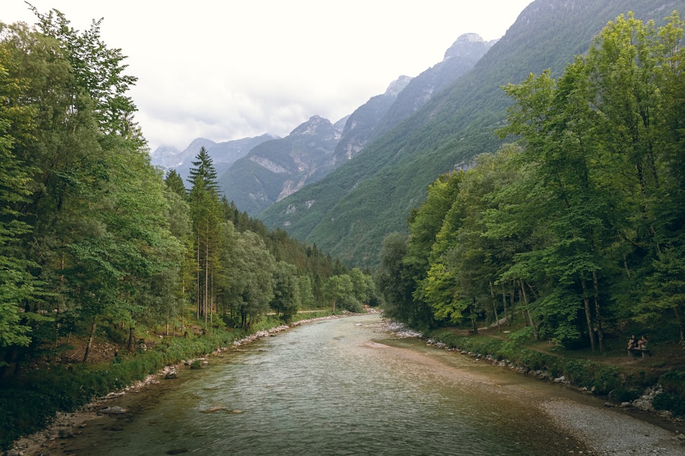 green trees near mountain during daytime