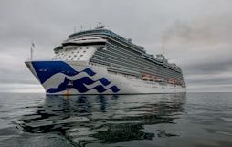 white and blue cruise ship on water
